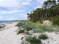 Impression vom Antoinette Strand bei Rønne